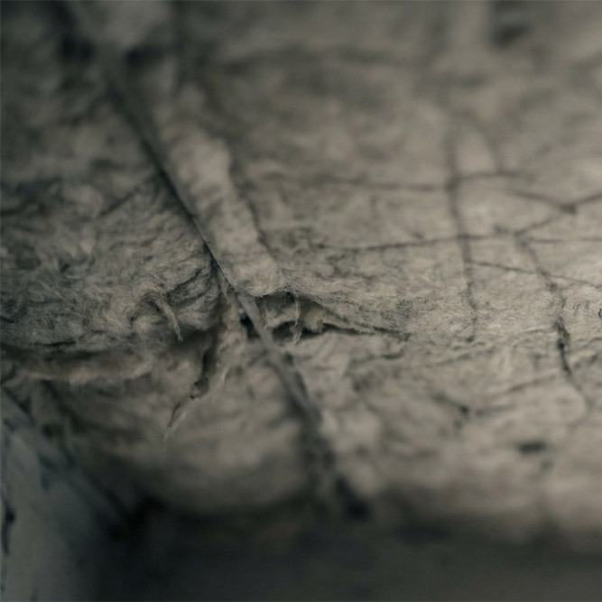 Asbestos Exposure