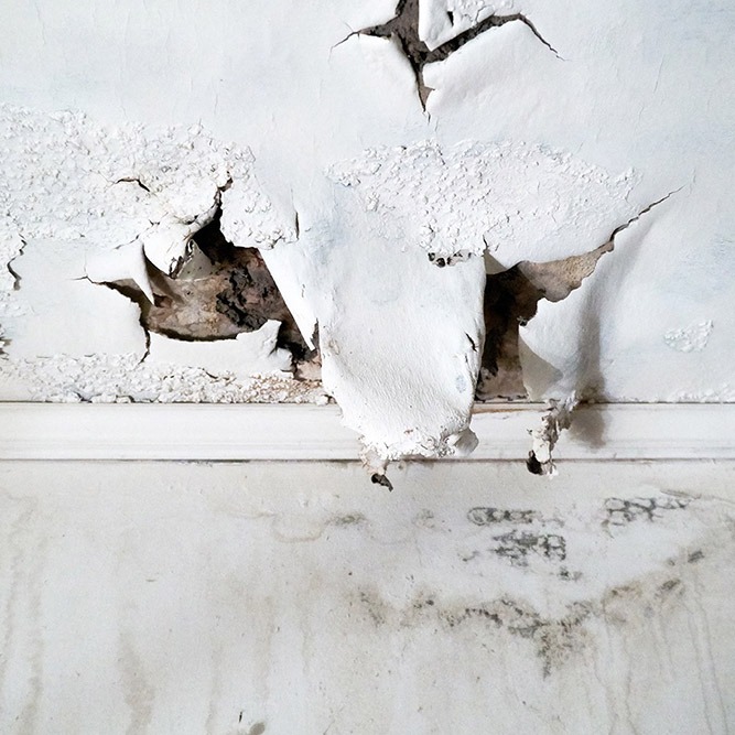 mold-wall